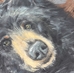 Black Bear on Reclaimed Wood - 14296