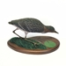 Hand Carved Green Heron - 650